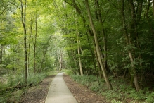 Harderbos tussen zomer en herfst
