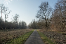 Harderbos