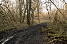 Harderbos