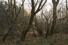 Harderbos