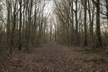 Harderbos