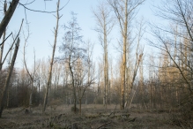 Harderbos