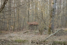 Harderbos