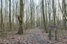 Harderbos