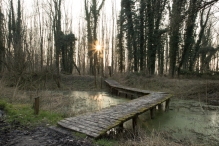 Harderbos