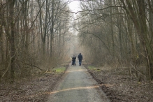 Harderbos