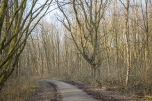 Harderbos