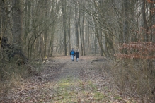 Harderbos