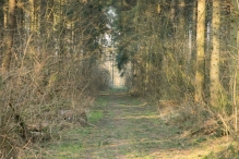 Harderbos