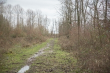 Strandgaperbeek en Kievitslanden