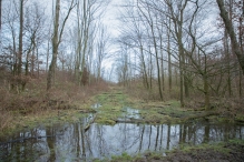 Strandgaperbeek en Kievitslanden
