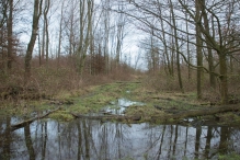 Strandgaperbeek en Kievitslanden