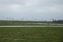Strandgaperbeek en Kievitslanden