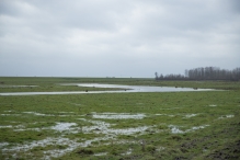 Strandgaperbeek en Kievitslanden