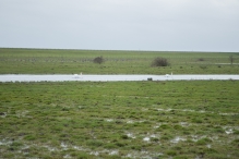 Strandgaperbeek en Kievitslanden