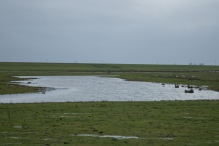 Strandgaperbeek en Kievitslanden