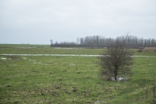 Strandgaperbeek en Kievitslanden