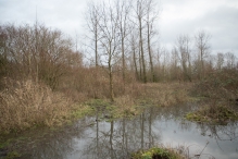 Strandgaperbeek en Kievitslanden