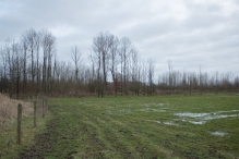 Strandgaperbeek en Kievitslanden