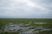 Strandgaperbeek en Kievitslanden