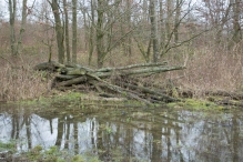 Strandgaperbeek en Kievitslanden