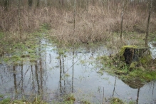 Strandgaperbeek en Kievitslanden