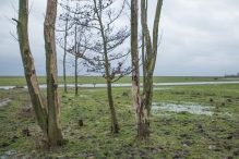 Strandgaperbeek en Kievitslanden