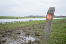 Strandgaperbeek en Kievitslanden