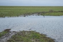 Strandgaperbeek en Kievitslanden