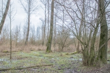 Strandgaperbeek en Kievitslanden