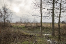 Strandgaperbeek en Kievitslanden