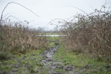 Strandgaperbeek en Kievitslanden