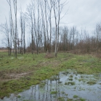 Strandgaperbeek en Kievitslanden