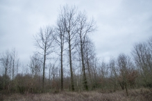 Strandgaperbeek en Kievitslanden