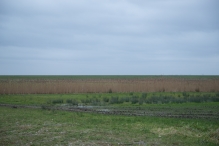 Strandgaperbeek en Kievitslanden