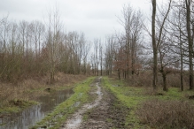 Strandgaperbeek en Kievitslanden