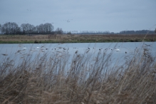 Strandgaperbeek en Kievitslanden