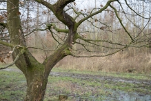 Strandgaperbeek en Kievitslanden