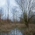 Strandgaperbeek en Kievitslanden