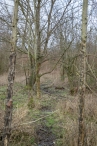 Strandgaperbeek en Kievitslanden