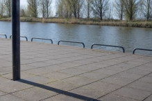 Voorjaar Biddingbos