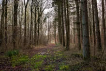 Biddinghuizen / diversen