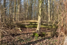 Biddinghuizen / diversen