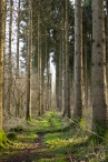 Biddinghuizen / diversen
