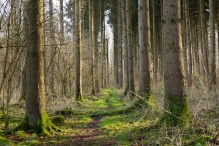 Biddinghuizen / diversen