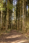 Harderbos