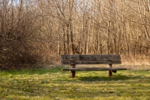 Harderbos