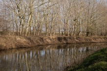 Harderbos