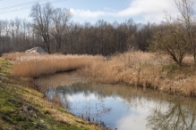 Harderbos
