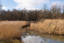 Harderbos